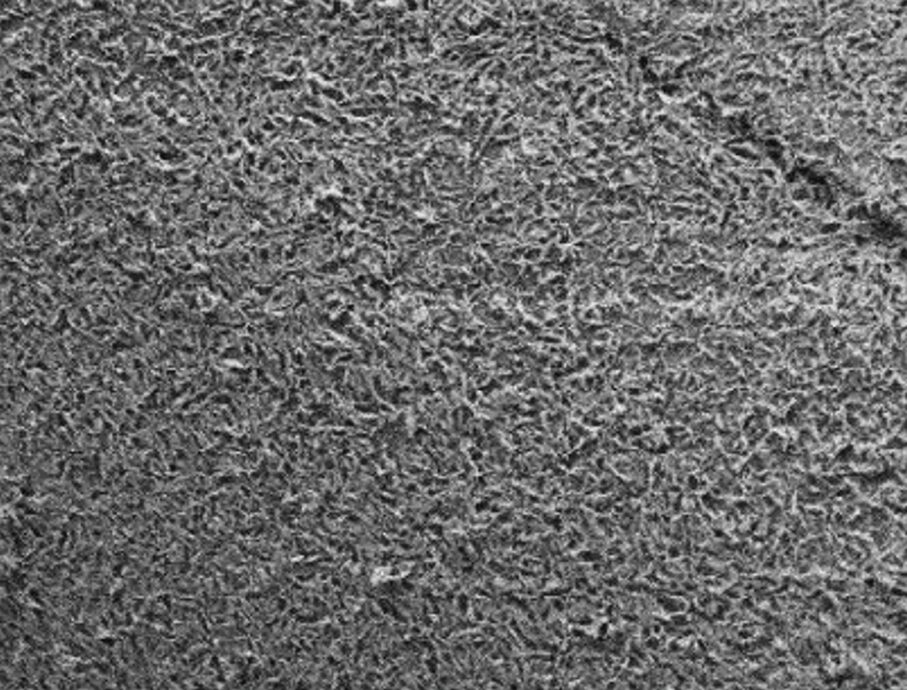 HA Nano surface (40.00 k x mag) web